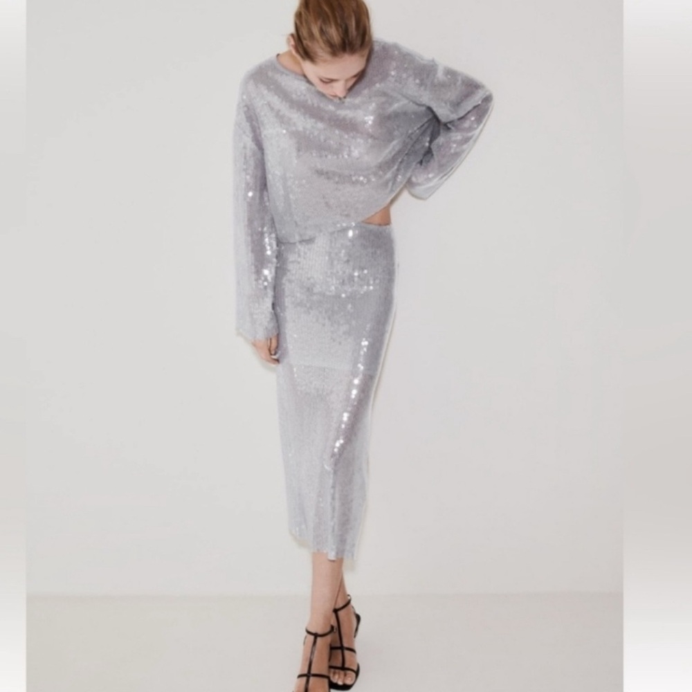 Zara Sequin Skirt (Size Large) - Picture 3 of 5